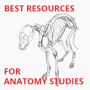 best resources for anatomy studies