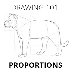 how to draw proportions