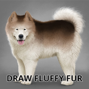 how to draw fluffy fur