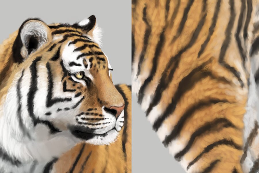 realistic tiger face paint