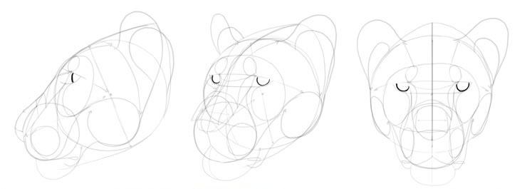 How To Draw A Big Cat Head Monika Zagrobelna