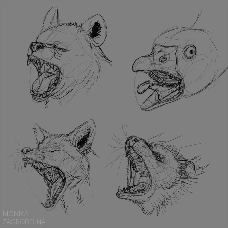Animal Mouth Study – Monika Zagrobelna