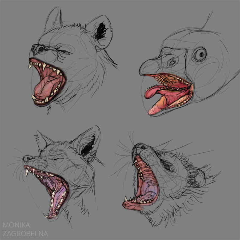 Animal Mouth Study – Monika Zagrobelna