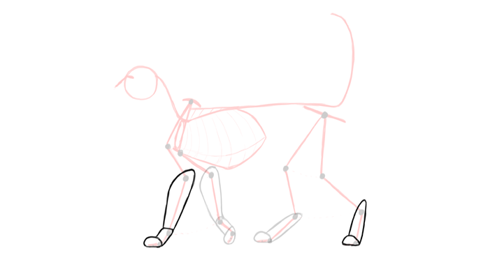 draw-cats-anatomy-2