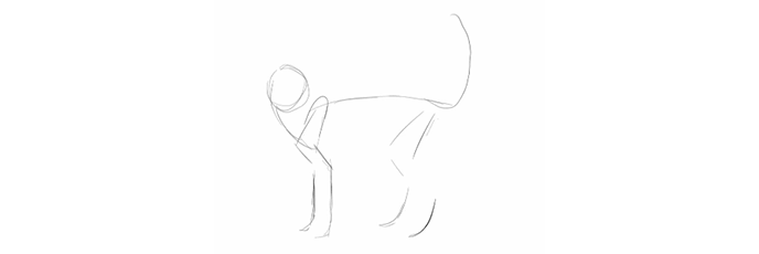 draw-cats-anatomy-animation-2