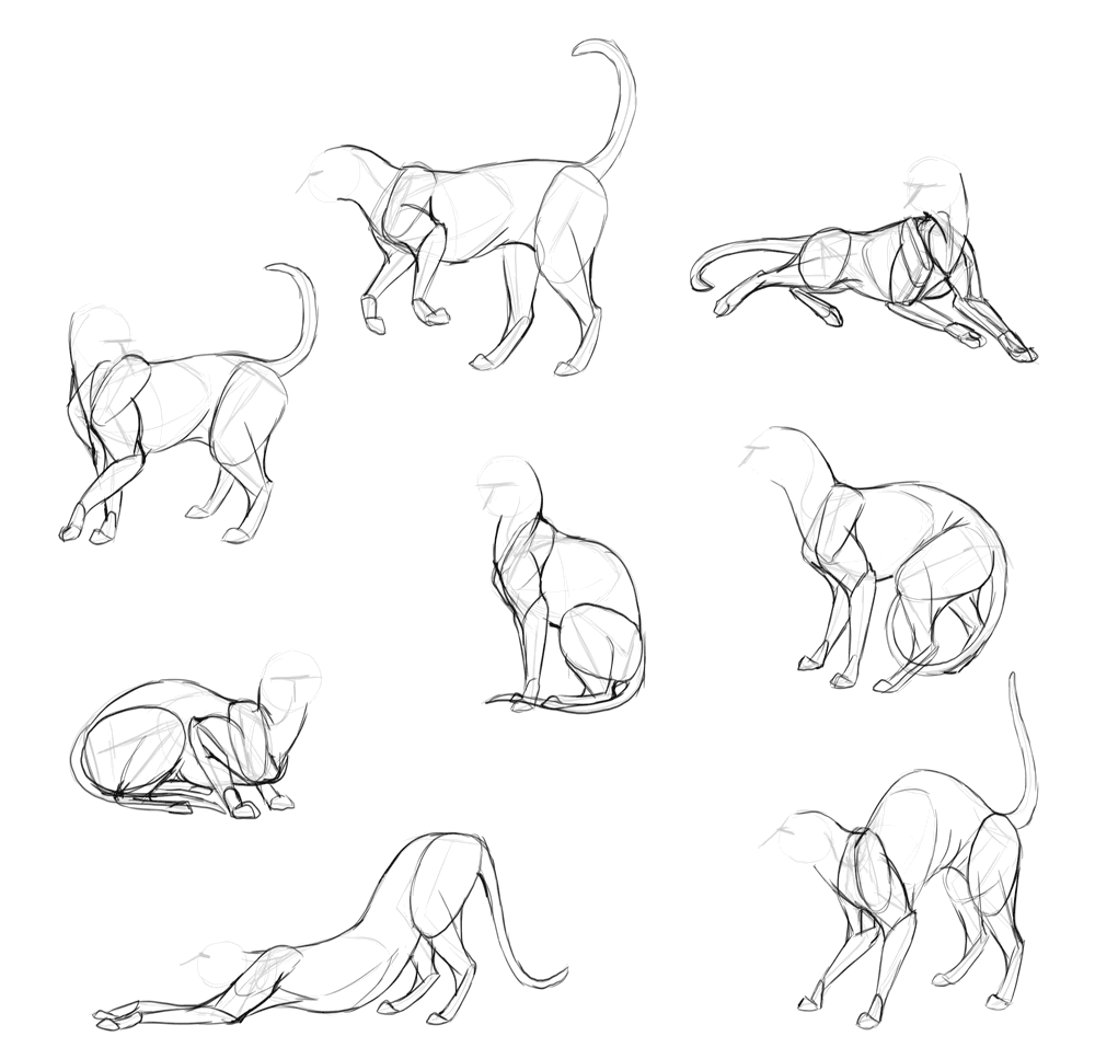 draw cats done 2
