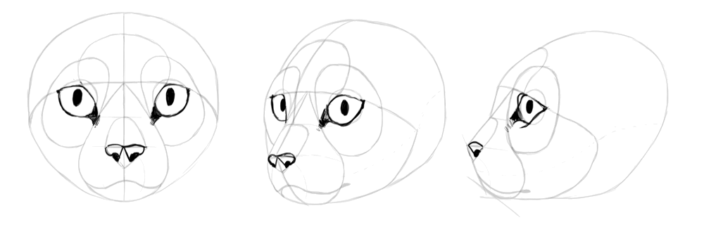 A cat head to draw