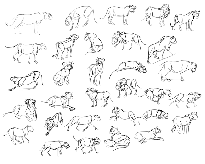 How to Draw Animals: A Visual Reference Guide to Sketching 100