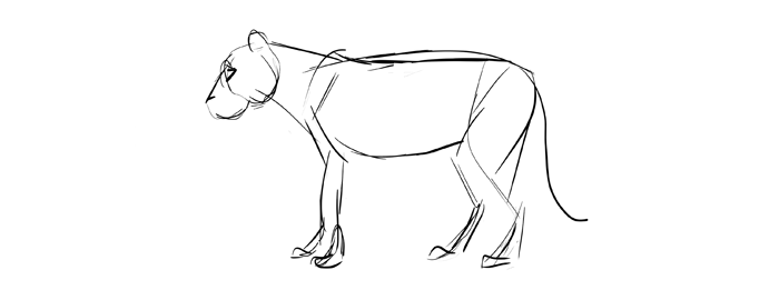 easy gesture drawing animals