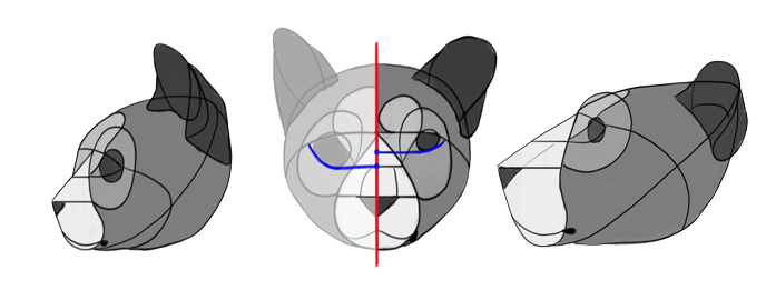 how-to-draw-big-cats-head