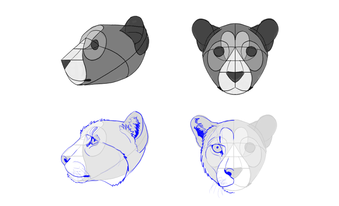 how-to-draw-big-cats-heads-cheetah