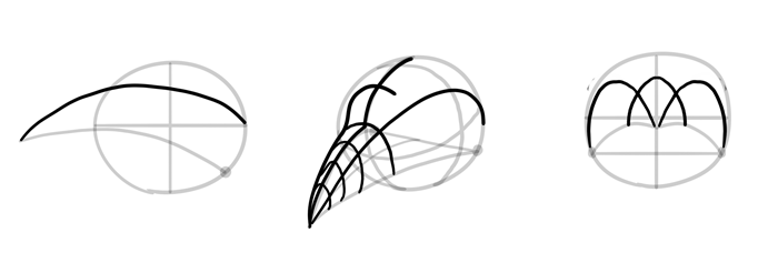 how-to-draw-birds-head-5