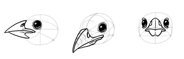 how-to-draw-birds-head-9