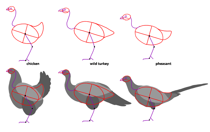 How to Draw Birds: 8 Techniques and Tips