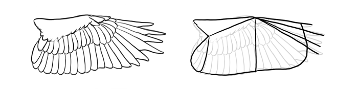 how-to-draw-birds-wings-eagle