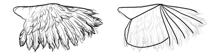 how-to-draw-birds-wings-ostrich