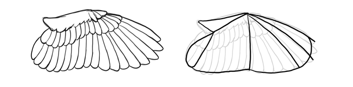how-to-draw-birds-wings-owl