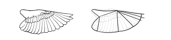 how-to-draw-birds-wings-perching