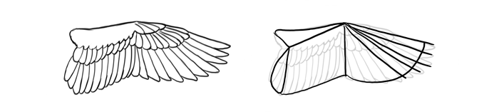 how-to-draw-birds-wings-swimming