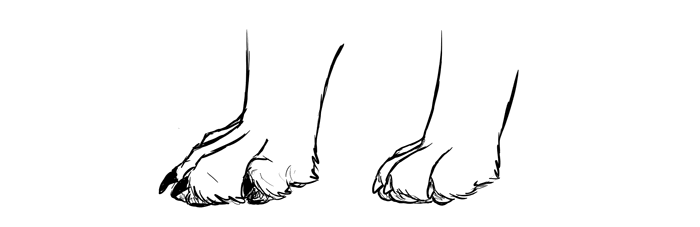 Featured image of post How To Draw A Simple Dog Paw - If you own a dog yourself, observe how they walk, run, jump, sit or lie down.