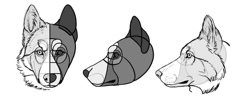 Featured image of post How To Draw A Dog Head - Draw a quadrilateral extending off of the circle.