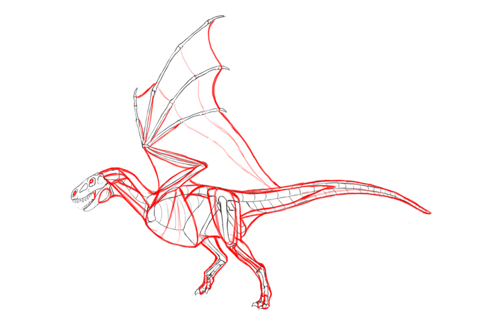 Dragon Anatomy Drawing