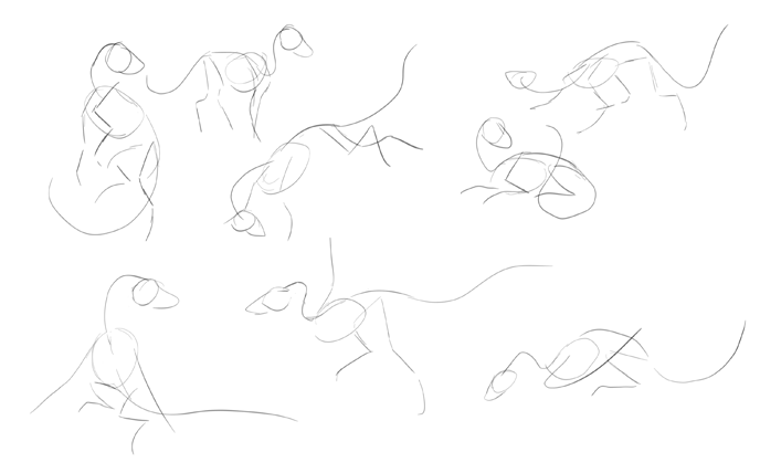 quick initial sketches of dragon bodies