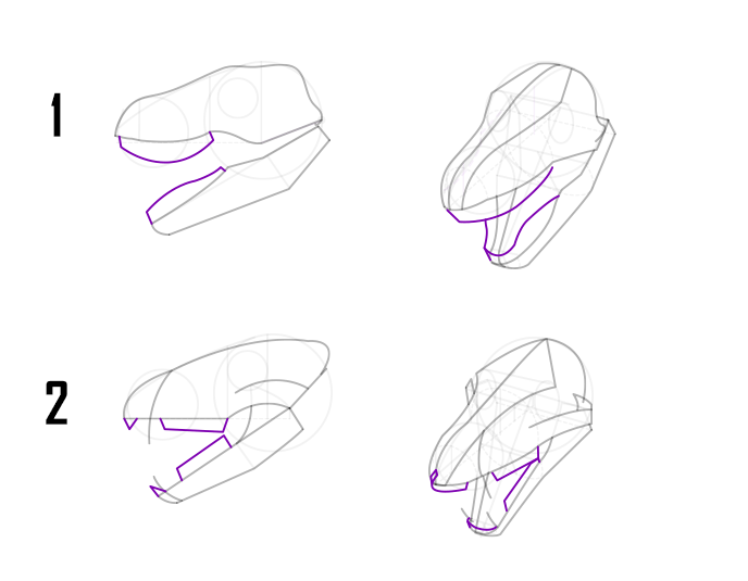 drawing your dragon skull step by step