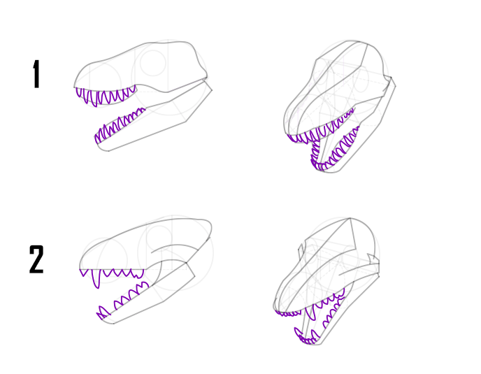 dragon head and teeth drawing