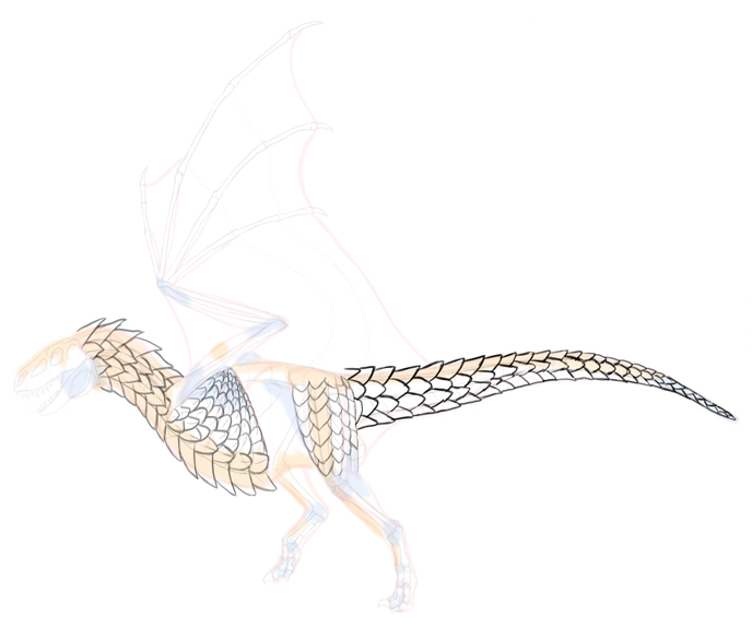 How to draw dragon. Смотреть фото How to draw dragon. Смотреть картинку How to draw dragon. Картинка про How to draw dragon. Фото How to draw dragon