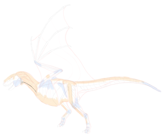 How to draw dragon. Смотреть фото How to draw dragon. Смотреть картинку How to draw dragon. Картинка про How to draw dragon. Фото How to draw dragon