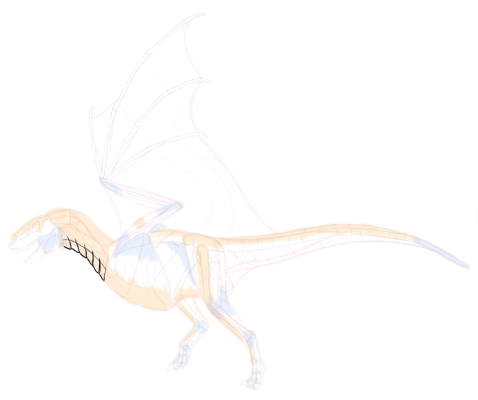 How to draw dragon. Смотреть фото How to draw dragon. Смотреть картинку How to draw dragon. Картинка про How to draw dragon. Фото How to draw dragon