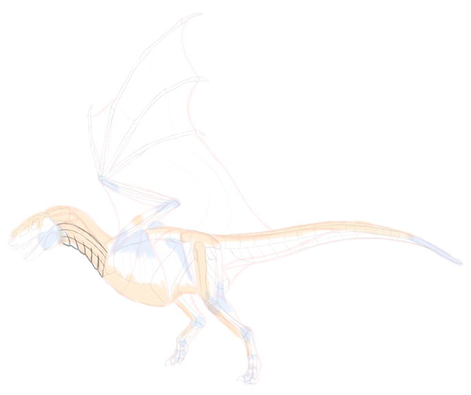 How to draw dragon. Смотреть фото How to draw dragon. Смотреть картинку How to draw dragon. Картинка про How to draw dragon. Фото How to draw dragon