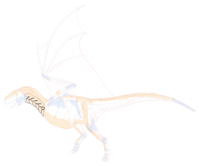 How to draw dragon. Смотреть фото How to draw dragon. Смотреть картинку How to draw dragon. Картинка про How to draw dragon. Фото How to draw dragon