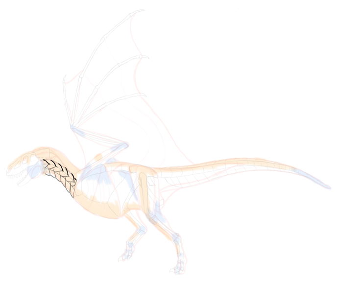 How to draw dragon. Смотреть фото How to draw dragon. Смотреть картинку How to draw dragon. Картинка про How to draw dragon. Фото How to draw dragon