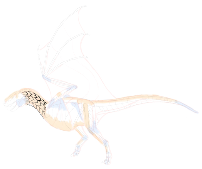 How to draw dragon. Смотреть фото How to draw dragon. Смотреть картинку How to draw dragon. Картинка про How to draw dragon. Фото How to draw dragon