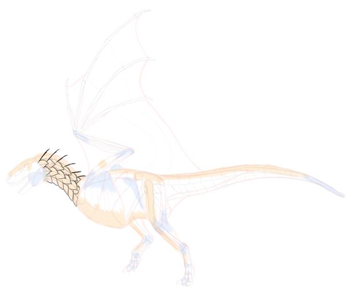How to draw dragon. Смотреть фото How to draw dragon. Смотреть картинку How to draw dragon. Картинка про How to draw dragon. Фото How to draw dragon