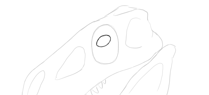 How to draw dragon. Смотреть фото How to draw dragon. Смотреть картинку How to draw dragon. Картинка про How to draw dragon. Фото How to draw dragon
