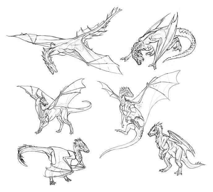 I am drawing dragons for the first time ever! HOW does the anatomy of a  dragon body look like?? I really dont know. Please help, this all looks so  wrong and I