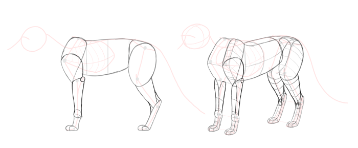 how-to-draw-foxes-body-5