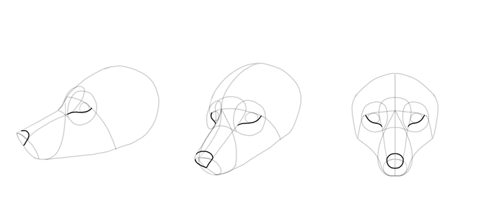 how to draw a fox head