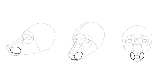 how-to-draw-foxes-head-11