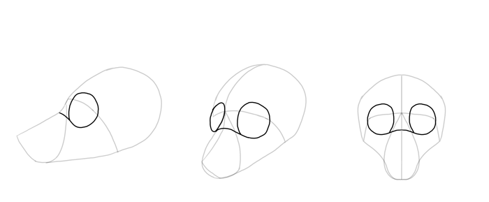 how-to-draw-foxes-head-6