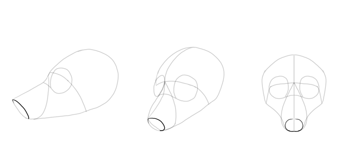 how-to-draw-foxes-head-7