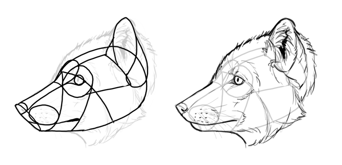 How to draw a fox. Смотреть фото How to draw a fox. Смотреть картинку How to draw a fox. Картинка про How to draw a fox. Фото How to draw a fox