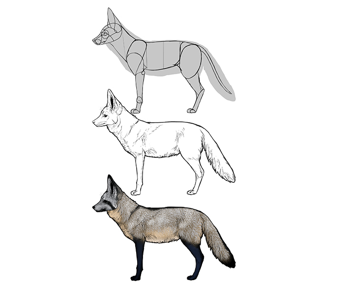 How to draw a fox. Смотреть фото How to draw a fox. Смотреть картинку How to draw a fox. Картинка про How to draw a fox. Фото How to draw a fox