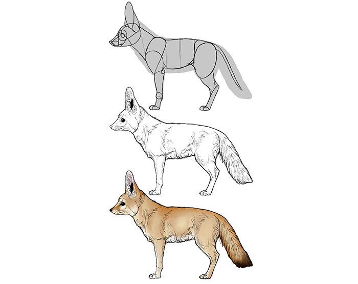 How to draw a fox. Смотреть фото How to draw a fox. Смотреть картинку How to draw a fox. Картинка про How to draw a fox. Фото How to draw a fox