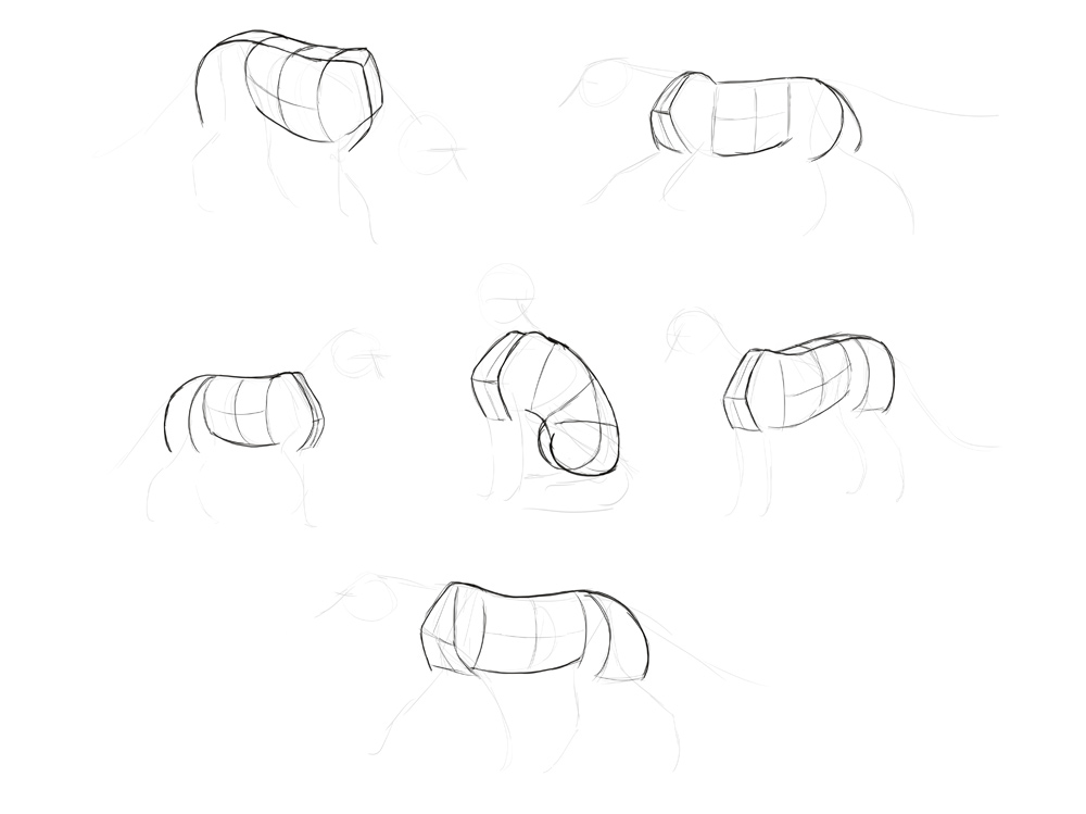 How to draw a fox. Смотреть фото How to draw a fox. Смотреть картинку How to draw a fox. Картинка про How to draw a fox. Фото How to draw a fox