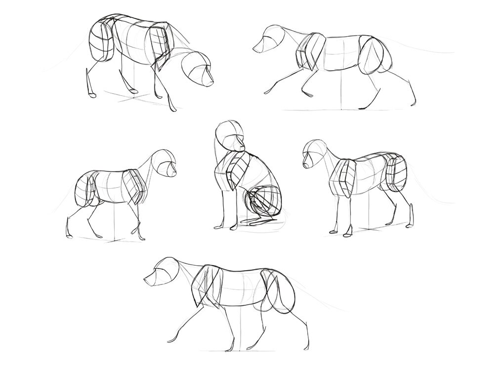 How to draw a fox. Смотреть фото How to draw a fox. Смотреть картинку How to draw a fox. Картинка про How to draw a fox. Фото How to draw a fox