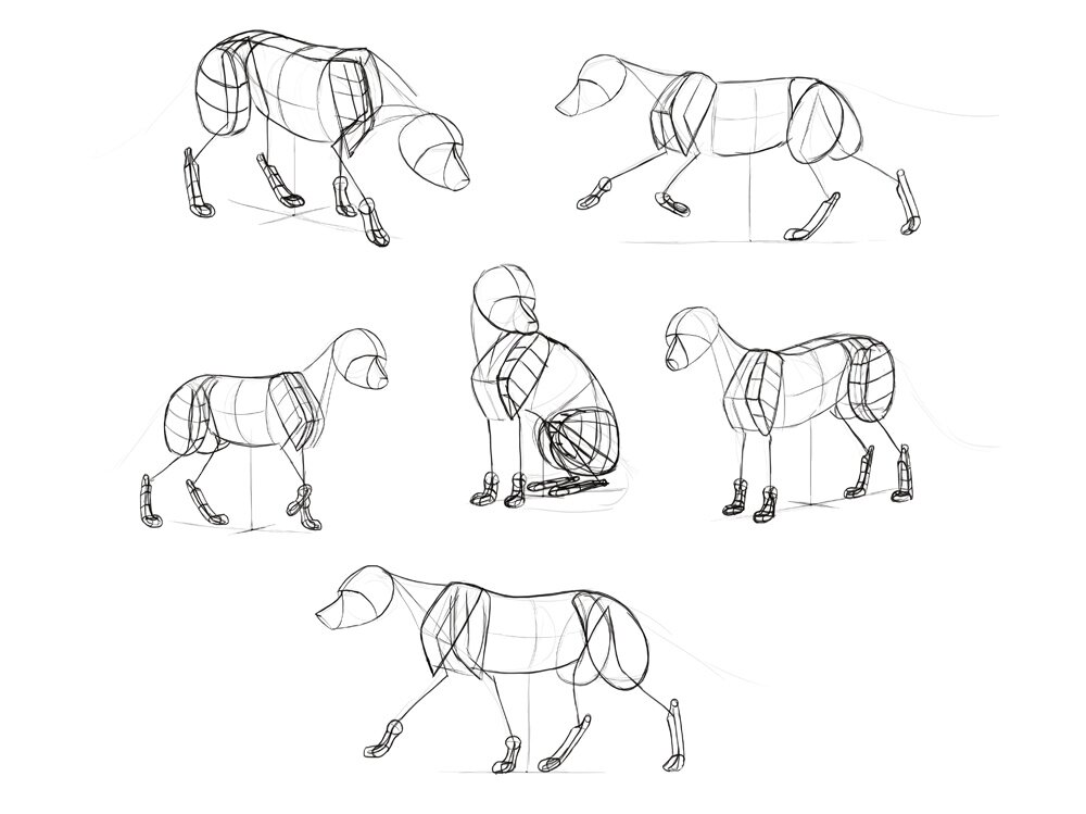 How to draw a fox. Смотреть фото How to draw a fox. Смотреть картинку How to draw a fox. Картинка про How to draw a fox. Фото How to draw a fox